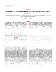 Review Evolution of the coordinate regulation of glycolytic enzyme