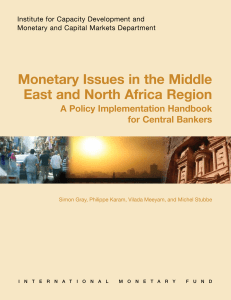 Monetary Issues in the Middle East and North Africa Region