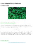 Crop Profile For Peas In Minnesota