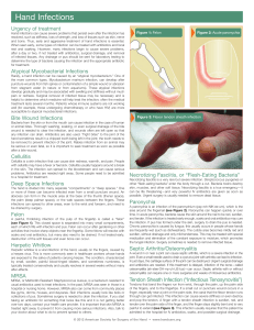 Hand Infections - American Society for Surgery of the Hand