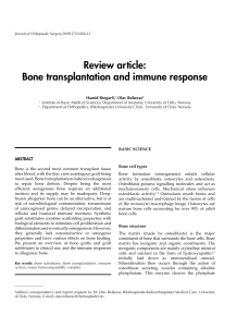 Bone transplantation and immune response
