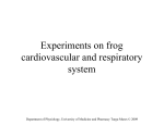 Experiments on frog cardiovascular and respiratory system
