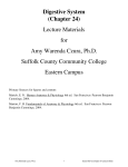 Slides - Suffolk County Community College