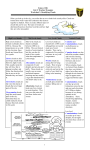 Worksheet 3: Identifying Clouds