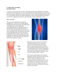 Winter Knees and Cycling