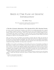 Bis2A 8.2 The Flow of Genetic Information