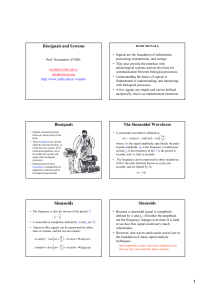 Sinusoids