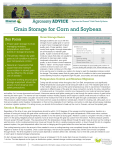 Grain Storage for Corn and Soybean