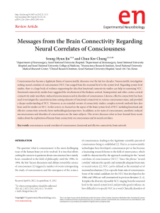 Messages from the Brain Connectivity Regarding Neural Correlates