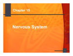 Objectives - Nervous System