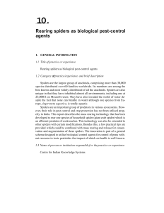 Rearing spiders as biological pest-control agents