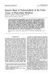 Genetic Basis of Polymurphism in the Color Vision of