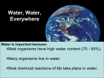 Water molecules are polar