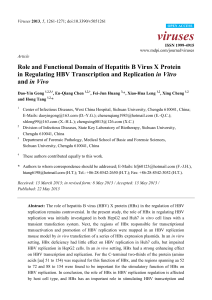 Role and Functional Domain of Hepatitis B Virus X Protein in