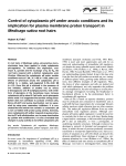 Control of cytoplasmic pH under anoxic