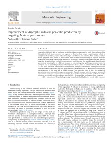 Improvement of Aspergillus nidulans penicillin production by