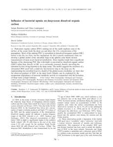 Influence of bacterial uptake on deep