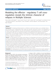 Modeling the effector - regulatory T cell cross