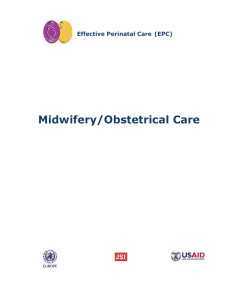 Midwifery/Obstetrical Care - WHO/Europe