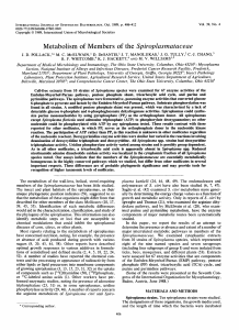 Metabolism of Members of the Spiroplasmataceae