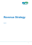 Revenue Strategy - Shire of Esperance