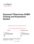 MA112 Expresso® Rhamnose SUMO Cloning and
