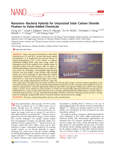 Nanowire–Bacteria Hybrids for Unassisted Solar Carbon Dioxide