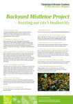 Backyard Mistletoe Project - Christchurch City Council
