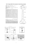 Study materials CNS