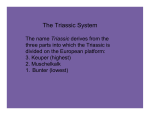 The Triassic System