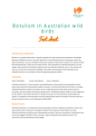 Botulism in Australian Wild Birds Dec 2013