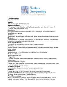 Urogynecology Definitions