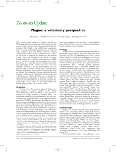Zoonosis Update - American Veterinary Medical Association