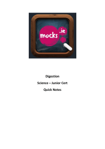 Digestion - Mocks.ie
