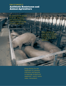 Antibiotic Resistance and Animal Agriculture