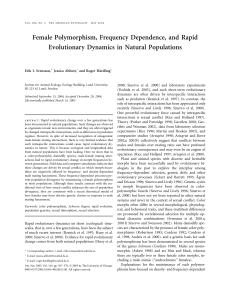 Female Polymorphism, Frequency Dependence, and Rapid