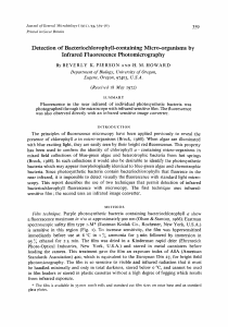 Detection of Bacteriochlorophyll-containing Micro