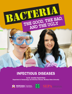 bacteria: the good, the bad and the ugly