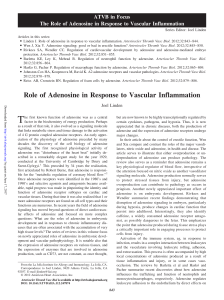 Role of Adenosine in Response to Vascular Inflammation