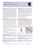 Datasheet Blank Template - Santa Cruz Biotechnology