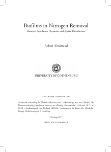 Biofilms in Nitrogen Removal