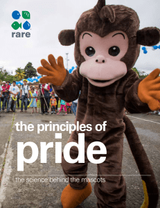 The Principles of Pride