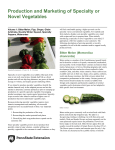 Production and Marketing of Specialty or Novel Vegetables