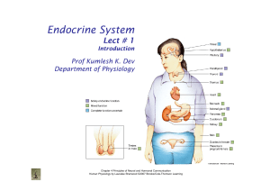 Lect 08 Endocrine 1 - intro (KKD)