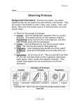 Observing Protozoa - Science