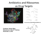 Antibiotics and Ribosomes as Drug Targets