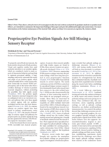 Proprioceptive Eye Position Signals Are Still Missing a Sensory
