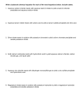 Chemical Equations Worksheet (Oct 2007)