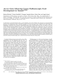 Aucsia Gene Silencing Causes Parthenocarpic Fruit Development in