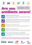 Antibiotic awareness poster (259 KB PDF)